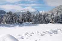 copeland lake, wild basin, winter